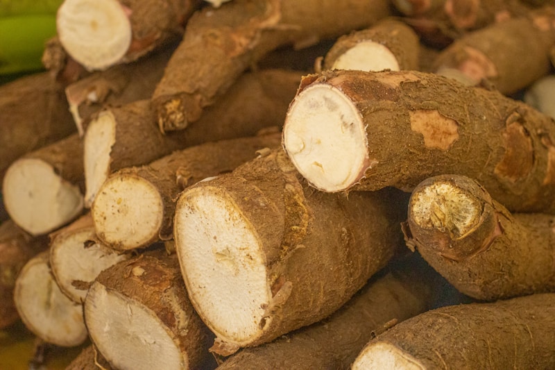 Yuca Frita